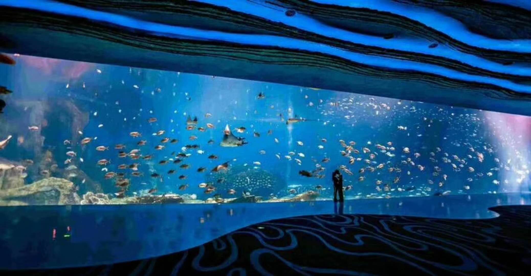 海洋館水族館生物養(yǎng)殖用水臭氧殺菌，滅藻