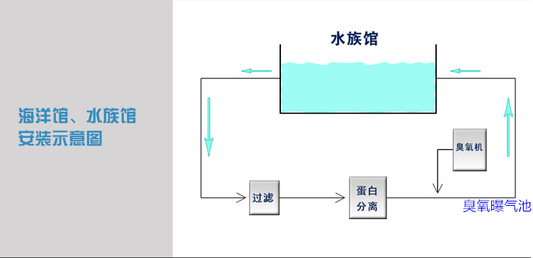 海洋館過濾，蛋分，臭氧，曝氣池.png